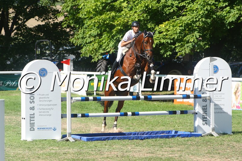 308M2569_Casper_Springpf L.JPG